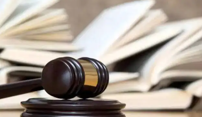 公司被吊銷后不清算，股東對公司債務承擔連帶清償責任